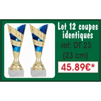 DT23  LOT DE 12 COUPES  23 cm IDENTIQUES